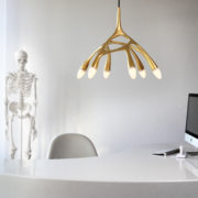 NXTNL1-3 – NLC_Gold_Desk