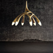 NXTNL1-3 – NLC_Gold_wall