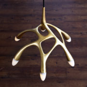 NXTNL1-3 – NLC_Gold_wood