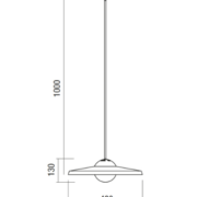 DP100 dims
