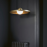 DP100 insitu